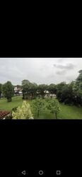 Turf Club Avenue (D25), Semi-Detached #577105181